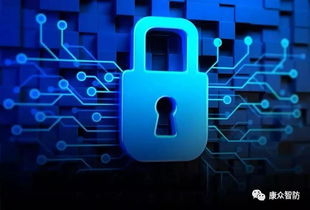 隱私保護(hù)與網(wǎng)絡(luò)安全 軟件開(kāi)發(fā)中的七重沖突與平衡之道