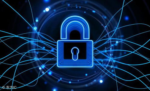 網(wǎng)絡(luò)安全基石 防火墻技術(shù)與信息安全軟件開(kāi)發(fā)